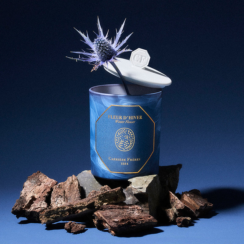 Fleur d'Hiver | Winter Fire - Scented Candle | Carriere Freres