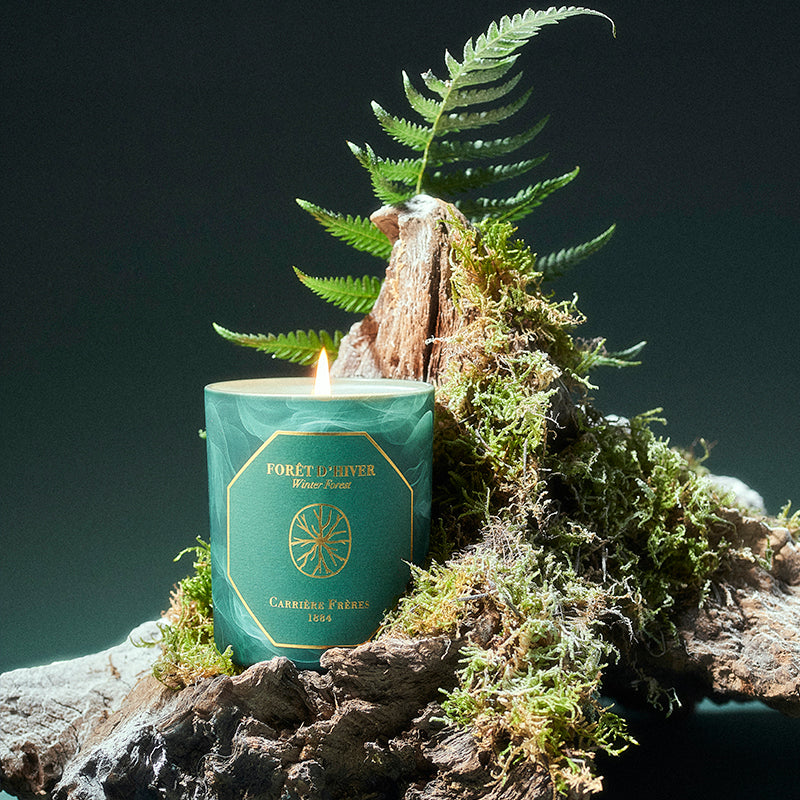 Foret d'Hiver | Winter Forest - Scented Candle | Carriere Freres | AEDES.COM